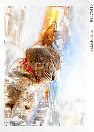 sketch style cat cat cat kijitora gray female female female cat female cat healthy pretty healing 95975410