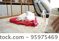Shopping 95975469