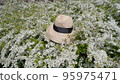 flower and hat 95975471