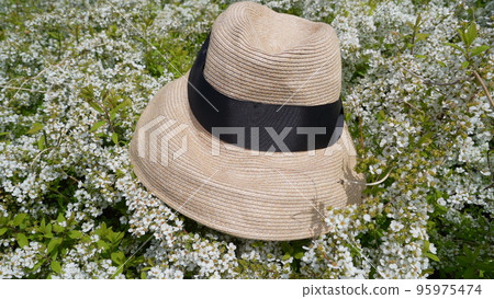 flower and hat flower and hat 95975474