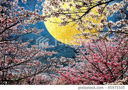 Full moon and cherry blossoms Full moon and cherry blossoms 95975505