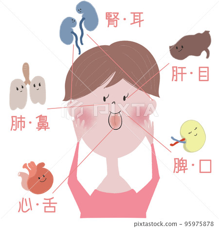 An illustration showing the relationship between the five organs and the five senses (sensory organs) of oriental medicine 95975878