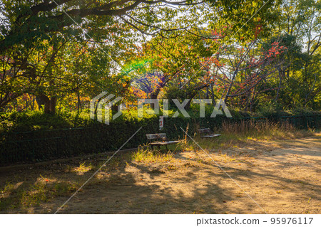 讓你感受秋天的公園 讓你感受秋天的公園 95976117