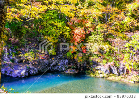 Tomegafuchi dyed in autumn leaves 95976338