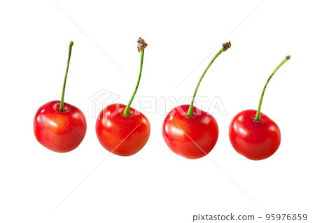 Cherry Cherry 95976859