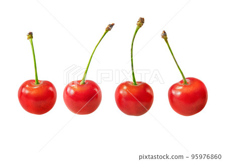櫻桃 櫻桃 95976860