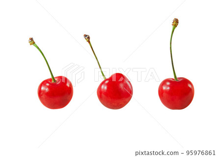 Cherry Cherry 95976861