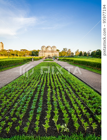 Curitiba Botanical Garden 95977194