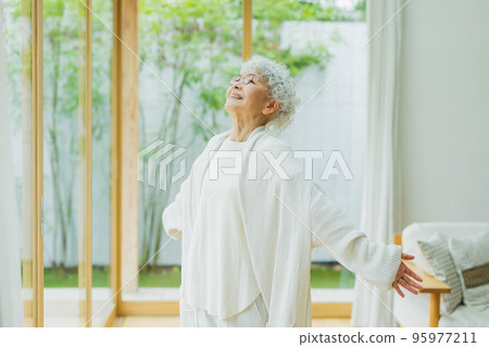 Lifestyle woman with silver hair 95977211