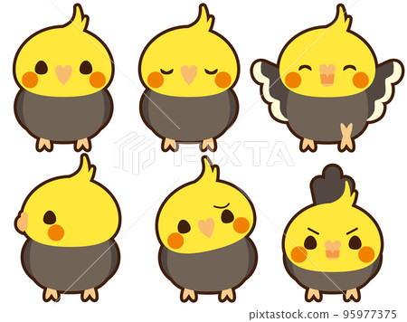 Cockatiel set with border 95977375