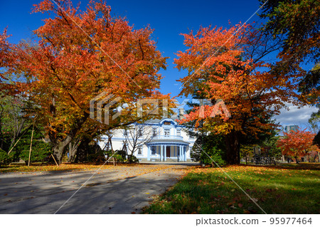 櫻花和豐平館的秋葉(札幌中島公園)_7826 櫻花和豐平館的秋葉(札幌中島公園)_7826 95977464
