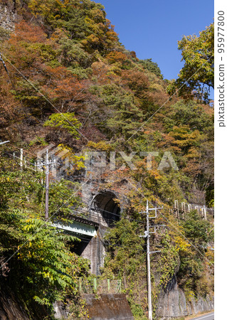 Agatsuma Valley in Autumn, Tarusawa Tunnel, Gunma Prefecture Agatsuma Valley in Autumn, Tarusawa Tunnel, Gunma Prefecture 95977800