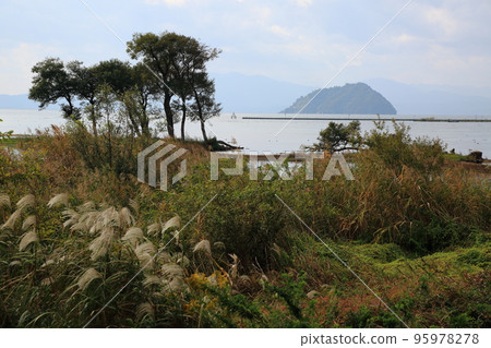 港北81區深秋散步(滋賀縣長濱市) 港北81區深秋散步(滋賀縣長濱市) 95978278