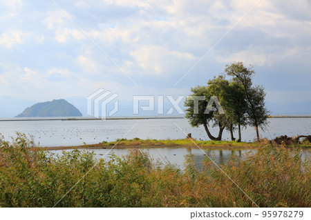 港北82區深秋散步（滋賀縣長濱市） 95978279