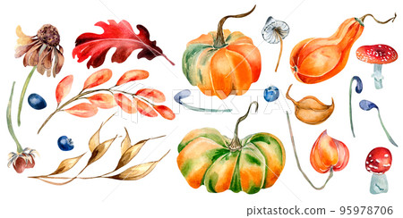 Set of colorful autumn leaves and pumpkins watercolor illustration isolated on white. 95978706