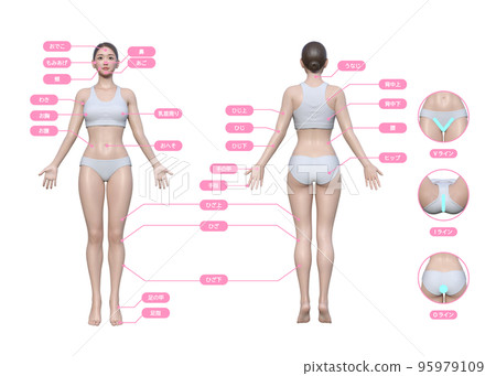 女性關心的全身除毛部位與VIO線3D模型 女性全身前後插畫套裝 女性關心的全身除毛部位與VIO線3D模型 女性全身前後插畫套裝 95979109