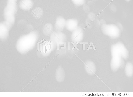 Abstract shadow of leaves on a white wall 95981824