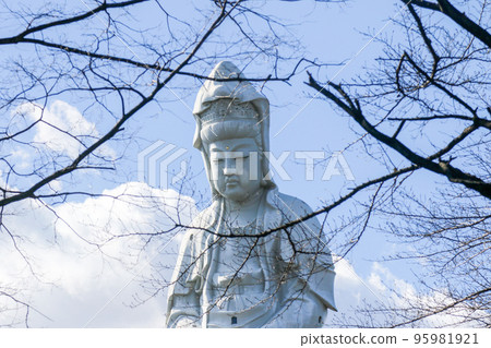 Gunma Prefecture Takasaki City Winter Jigen-in Temple Takasaki Byakui Daikannon 95981921