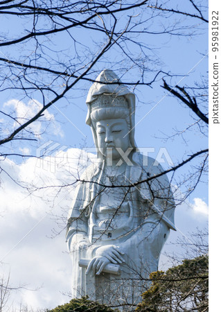 Gunma Prefecture Takasaki City Winter Jigen-in Temple Takasaki Byakui Daikannon 95981922