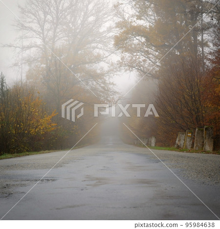 Road in autumn. Foggy and dangerous car driving in the winter season. Bad weather with rain and traffic on the road. Concept for traffic and road safety. Road in autumn. Foggy and dangerous car driving in the winter season. Bad weather with rain and traffic on the road. Concept for traffic and road safety. 95984638