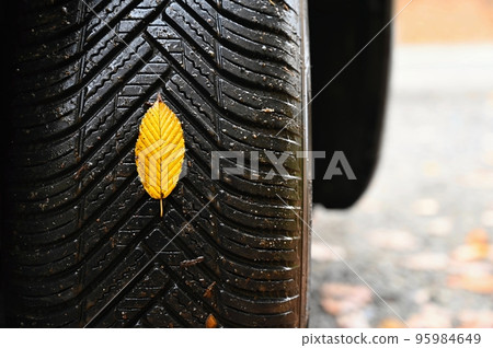Tires with leaves and car on wet road in autumn season. Foggy and dangerous driving - concept for traffic and road safety. Tires with leaves and car on wet road in autumn season. Foggy and dangerous driving - concept for traffic and road safety. 95984649