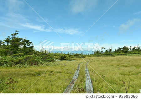 Chigoike Marsh at the summit of Mt. Yakebitai Chigoike Marsh at the summit of Mt. Yakebitai 95985060