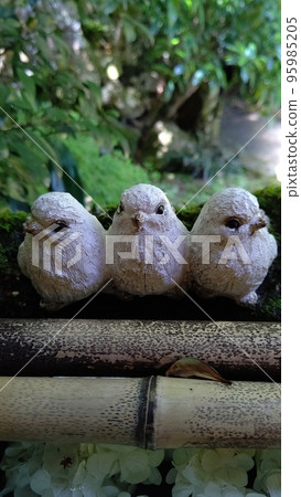 Colorful flowers floating in the water and flower hand water Colorful flowers floating in the water and flower hand water 95985205