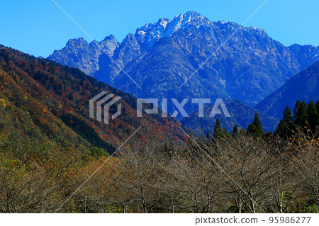 Autumn leaves scenery of Babajima, Kamiichi, Toyama Prefecture Autumn leaves scenery of Babajima, Kamiichi, Toyama Prefecture 95986277