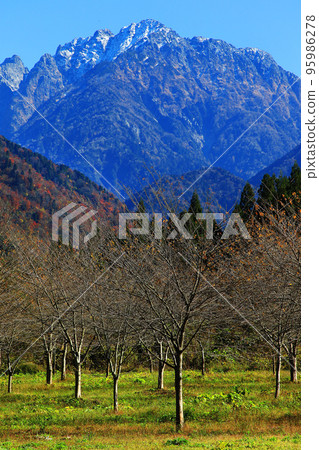 富山縣上市馬場島的秋葉風光 富山縣上市馬場島的秋葉風光 95986278