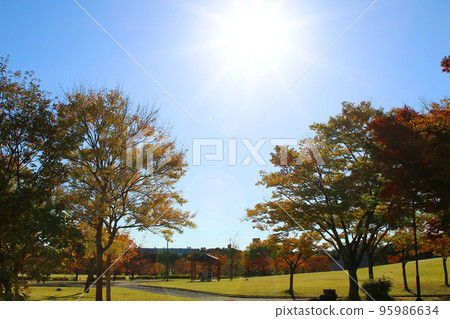 在陽光明媚的秋日，媽媽朋友們在公園裡消磨時光 95986634