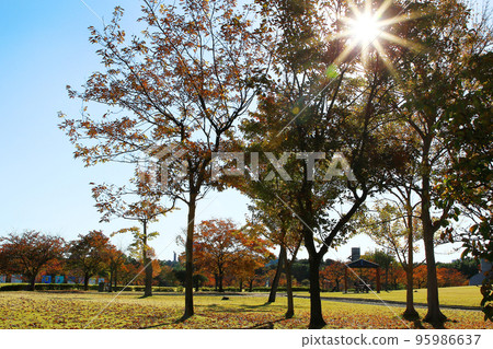 Mom friends spending time in the park on a sunny autumn day 95986637
