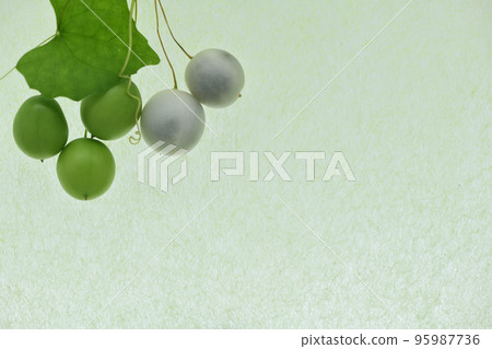 Background material of Japanese paper and sparrow gourd 95987736