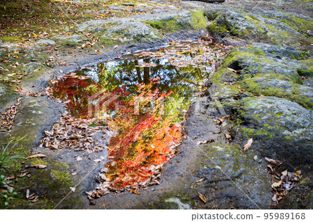 初秋被清澈的溪流和紅葉治癒的風景 初秋被清澈的溪流和紅葉治癒的風景 95989168