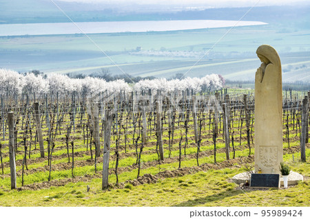 statue of Saint Agnes with vineyards near Palvov, Southern Moravia, Czech Republic 95989424