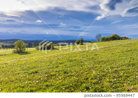 spring landscape in Brdy, Czech Republic 95989447