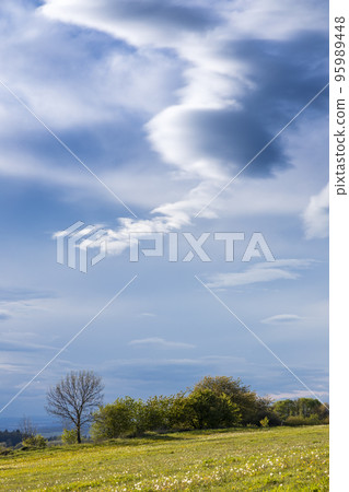 spring landscape in Brdy, Czech Republic 95989448