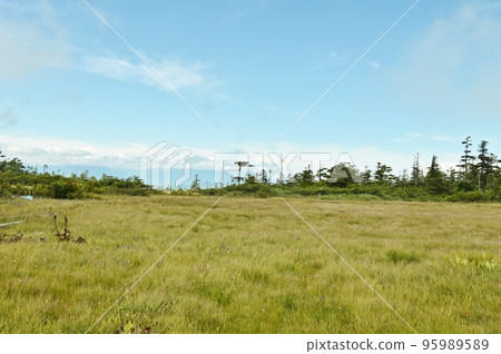 Chigoike Marsh at the summit of Mt. Yakebitai 95989589