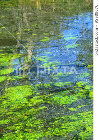 安曇野大王芥末農場的清流 安曇野大王芥末農場的清流 95989676