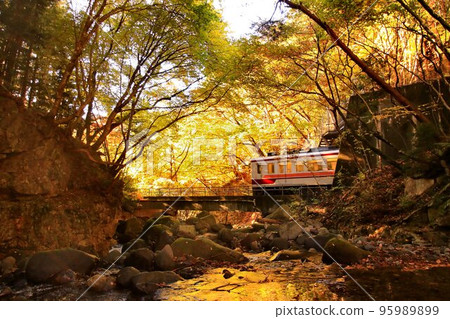 Going along the Okukinu road while looking at the mountain stream of autumn leaves…At Ryuokyo station, “6050 series” Going along the Okukinu road while looking at the mountain stream of autumn leaves…At Ryuokyo station, “6050 series” 95989899