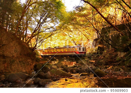 Going along the Okukinu road while looking at the mountain stream of autumn leaves…At Ryuokyo station, “6050 series” Going along the Okukinu road while looking at the mountain stream of autumn leaves…At Ryuokyo station, “6050 series” 95989903