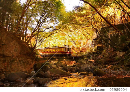 Going along the Okukinu road while looking at the mountain stream of autumn leaves…At Ryuokyo station, “6050 series” 95989904