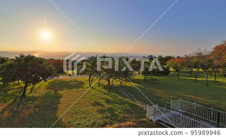 在秋天台灣台中都會公園的日出 95989946