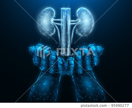 Polygonal vector illustration of a hand with human kidneys. Organ donation concept. Medical banner, template or background. 95990277