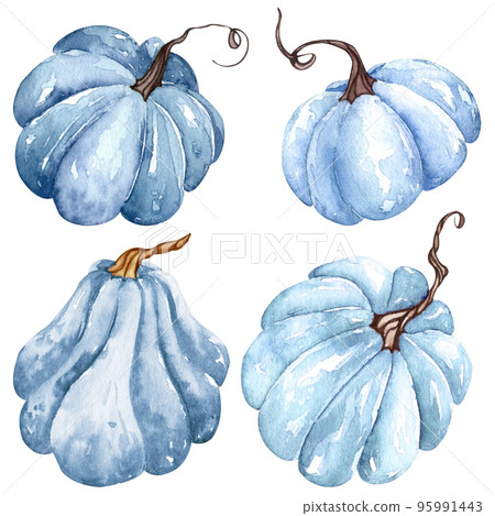 Watercolor blue pumpkin set, floral pumpkins, Halloween clipart, autumn design elements, fall. Harvest illustration isolated 95991443