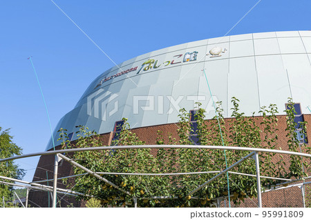 Kurayoshi City, Tottori Prefecture, Tottori 20th Century Pear Memorial Hall Nashikokan 95991809