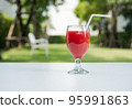 Watermelon juice and watermelon slices on the natural background. 95991863