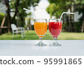 Orange juice and Watermelon juice on the natural background 95991865