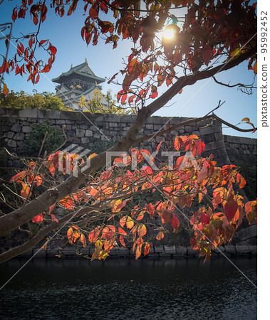 Moat of Osaka Castle Moat of Osaka Castle 95992452
