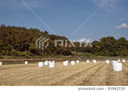 收穫後的田野 收穫後的田野 95992550