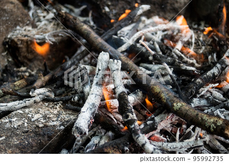 closeup of campfire in outdoor 95992735